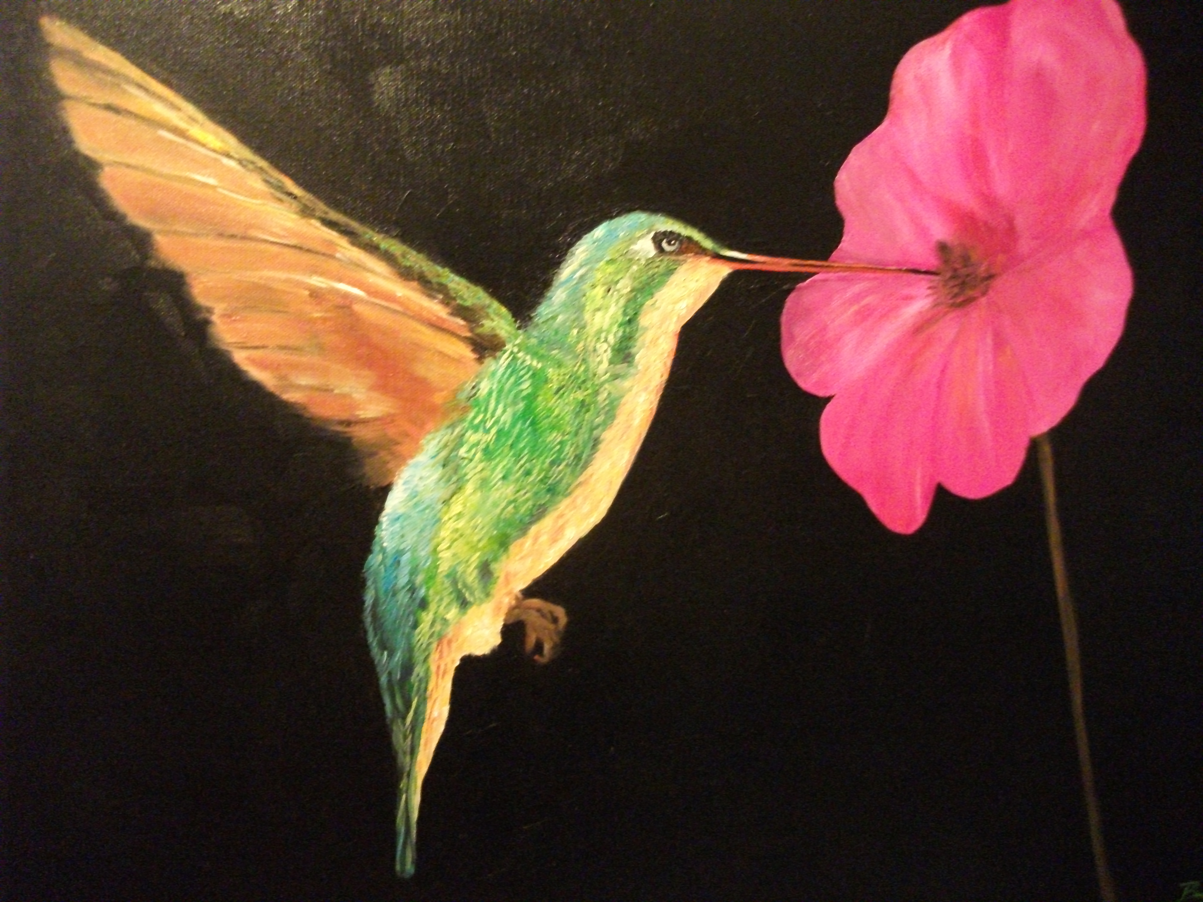 Kolibri